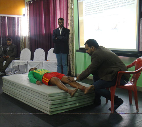 Sports & Physical Therapy Clinic